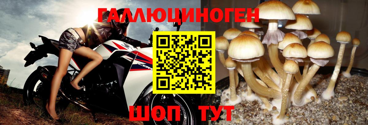 Туймазы  Галлюциногенные грибы Psilocybe  Псилоцибиновые грибы Magic Shrooms  Вход с VPN 