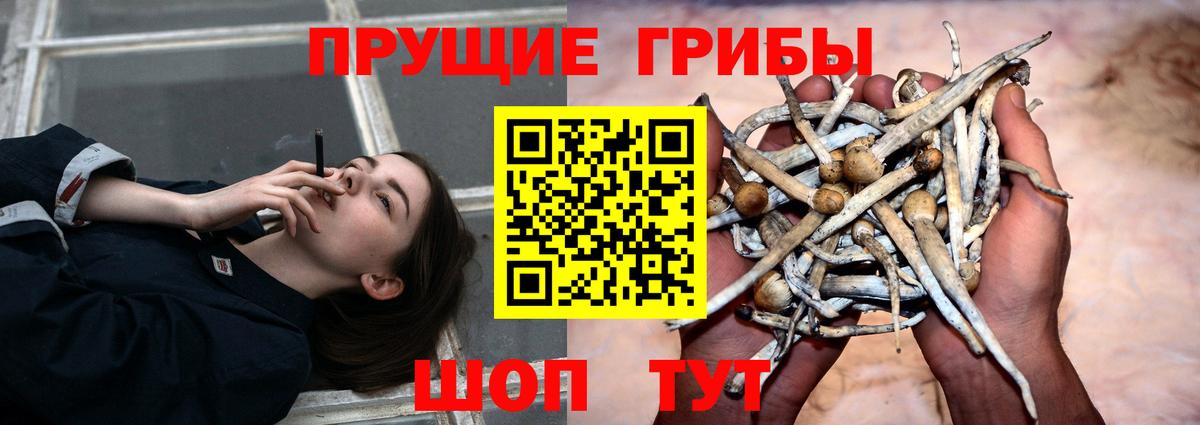 Галлюциногенные грибы мицелий Туймазы